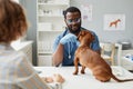 Young doctor of contemporary veterinary clinics examining sick dog Royalty Free Stock Photo