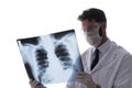 The young doctor looking at x-ray images isolated on white Royalty Free Stock Photo