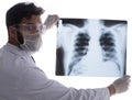 Young doctor looking at x-ray images isolated on white Royalty Free Stock Photo