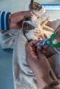 Dog having its nails cut