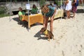 Girl and dog with amputated back leg