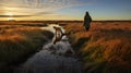 Young Dog And Woman Walking Through Stream At Sunset