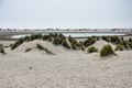 Young dunes and lake Royalty Free Stock Photo