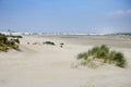 Young dunes at the Sand Engine Royalty Free Stock Photo