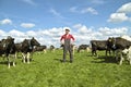 Young dutch farmer with his cows