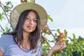 Young dutch woman holding apples in orchard Royalty Free Stock Photo