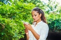 Young East Indian American Woman texting on cell phone outdoor at Central Park, New York Royalty Free Stock Photo