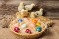 Young easter chicks in the nest Royalty Free Stock Photo