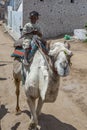 A young Egyptian boy rides a camel.