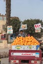 Young Egyptian Man Selling Oranges at a Cairo Market