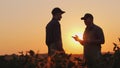 A young and elderly farmer chatting on the field at sunset Royalty Free Stock Photo