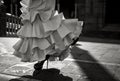 Young elegance flamenco dancer Royalty Free Stock Photo