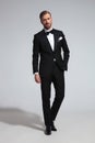 Young elegant groom in tuxedo and bowtie Royalty Free Stock Photo