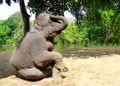 Young elephant calf playing by the river having fun Royalty Free Stock Photo