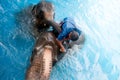 Young Elephant and his mother happiness swimming show for tourist.