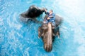 Young Elephant and his mother happiness swimming show for tourist.