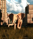 Young elephant walking on the street of the abandoned city