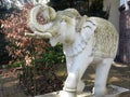 Young elephant of white stone