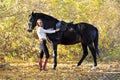 Young equestrian woman walking horse in autumn park Royalty Free Stock Photo