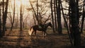 Young equestrienne rides the horse in the wood on sunset slow motion
