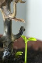 Young escape. Green leaves of young shoots and a dry trunk