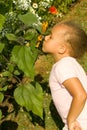 Young Ethnic Girl smelling the flowers Royalty Free Stock Photo