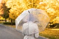 Young european female in raincoat with umbrella walks alone in rain in autumn in city park with yellow leaves Royalty Free Stock Photo