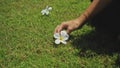 A young European girl takes a white plumeria flower with her hand lying on a green lawn Royalty Free Stock Photo