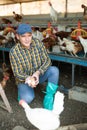 Young European male farmer picking fresh chicken eggs in coop Royalty Free Stock Photo