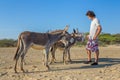 Young european man feeds group of donkeys