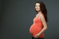 Young expecting mother with long dark hair. Royalty Free Stock Photo