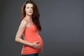 Young expecting mother with long dark hair. Royalty Free Stock Photo