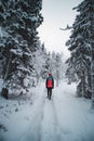 Young explorer in a colorful jacket stands in a frosty white environment in Sotkamo, Finland. Active lifestyle. Walking in wild