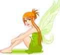 Young fairy Royalty Free Stock Photo