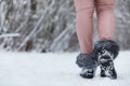 Young family with children are walking in the winter park. Winte Royalty Free Stock Photo