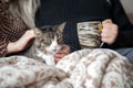 Young family couple with domestic cat and tea cup on sofa at home Royalty Free Stock Photo