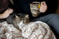 Young family couple with domestic cat and tea cup on sofa at home Royalty Free Stock Photo