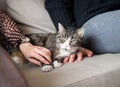 Young family couple with domestic cat and tea cup on sofa at home Royalty Free Stock Photo