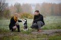 Young family couple with siberian husky dog walking in autumn park Royalty Free Stock Photo