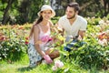 Young family gardening