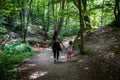 Young family walking in a forest in summer