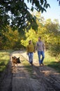 Young family walking in park with their german shepherd dog, holding hands Royalty Free Stock Photo