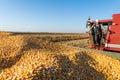 Young farmer on a break in combine Royalty Free Stock Photo