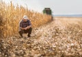Farmer in corn fields Royalty Free Stock Photo