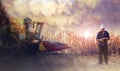 Young farmer examine corn seed in corn fields Royalty Free Stock Photo