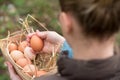 A young farmer female holding a fresh hen egg and other eggs in Royalty Free Stock Photo