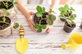 young farmer with garden tools caring for strawberry bush. Sprout with roots and green leaves in flower pot. Housework Royalty Free Stock Photo