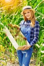 Young farmer girl on corn field. Royalty Free Stock Photo