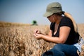 Young farmer girl examing soybean plant during harvest Royalty Free Stock Photo