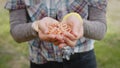 Young farmer girl holds corn seeds in her hand in the countryside